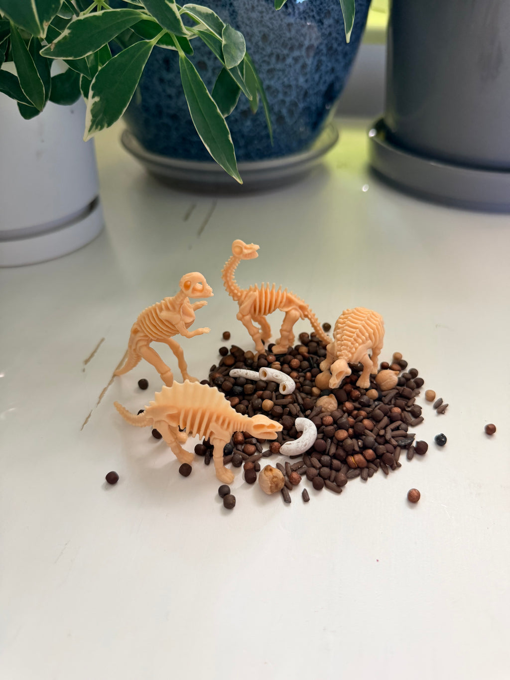 Dino Dig