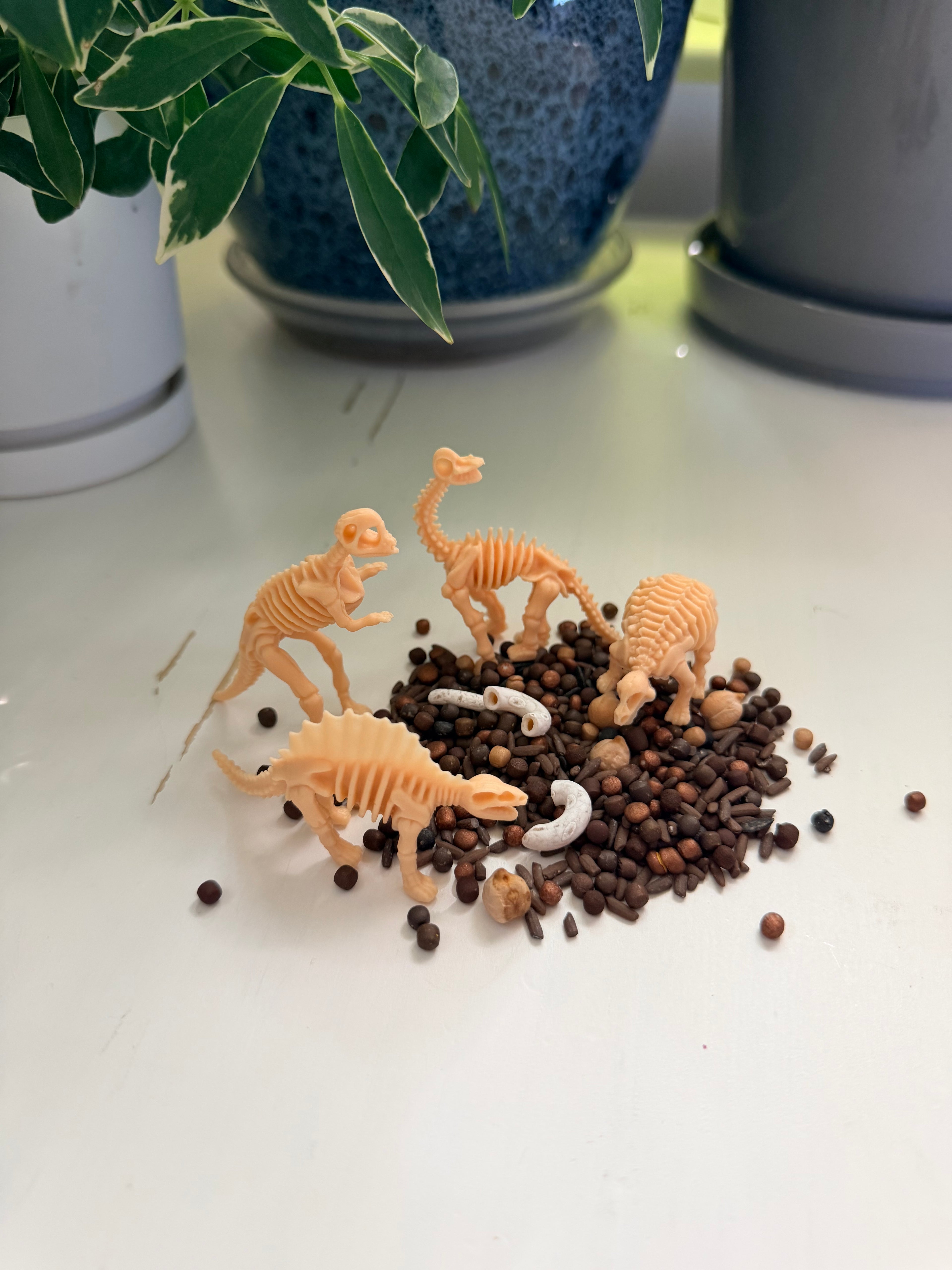 Dino Dig