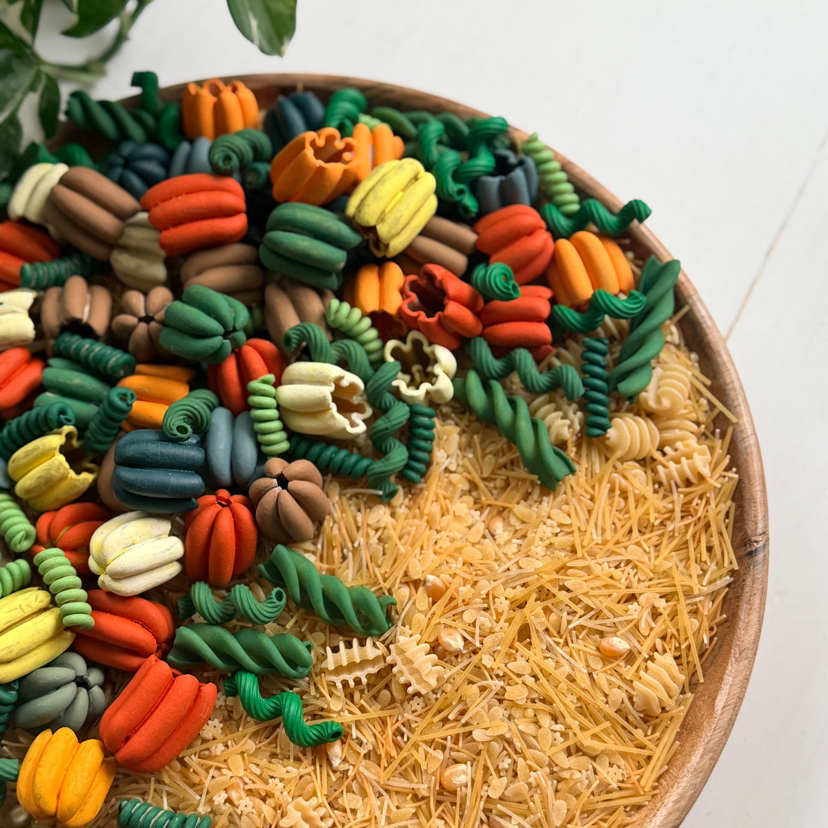 Pumpkin Patch