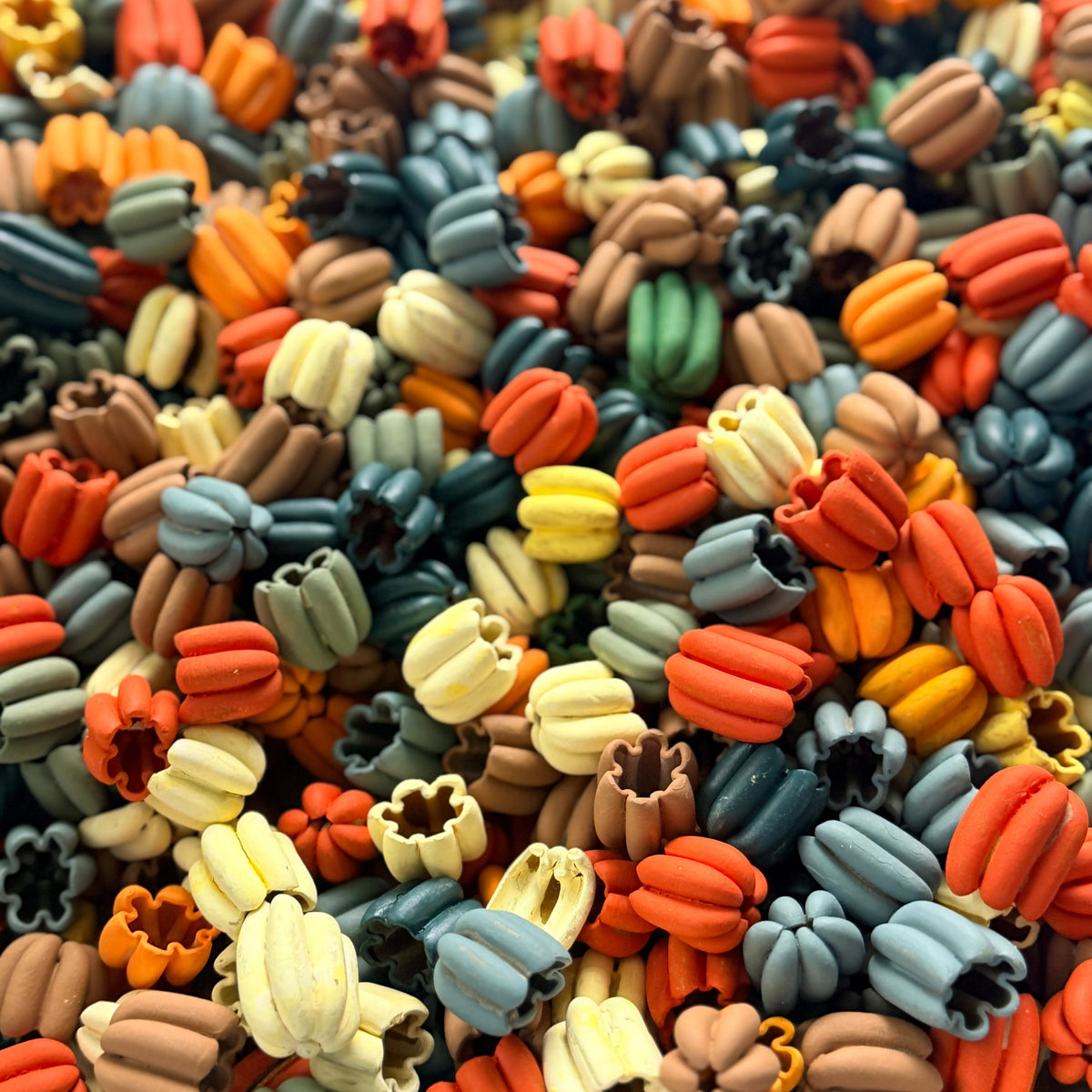 Pumpkin Patch