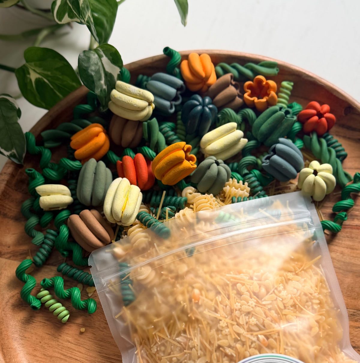 Pumpkin Patch